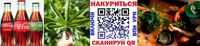 Купить  Новотроицк  Canna-Cookies конопля 
