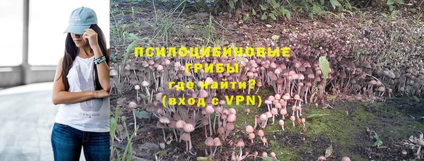 бутират Баксан