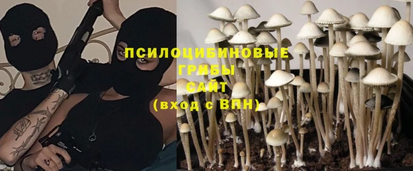 кокс Богородицк