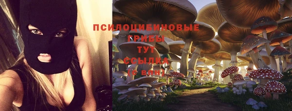 бутират Баксан