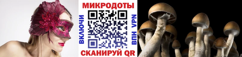 Галлюциногенные грибы MAGIC MUSHROOMS  Купить  Новотроицк 