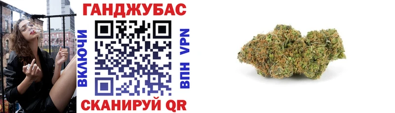 Купить  Новотроицк  Марихуана сатива 